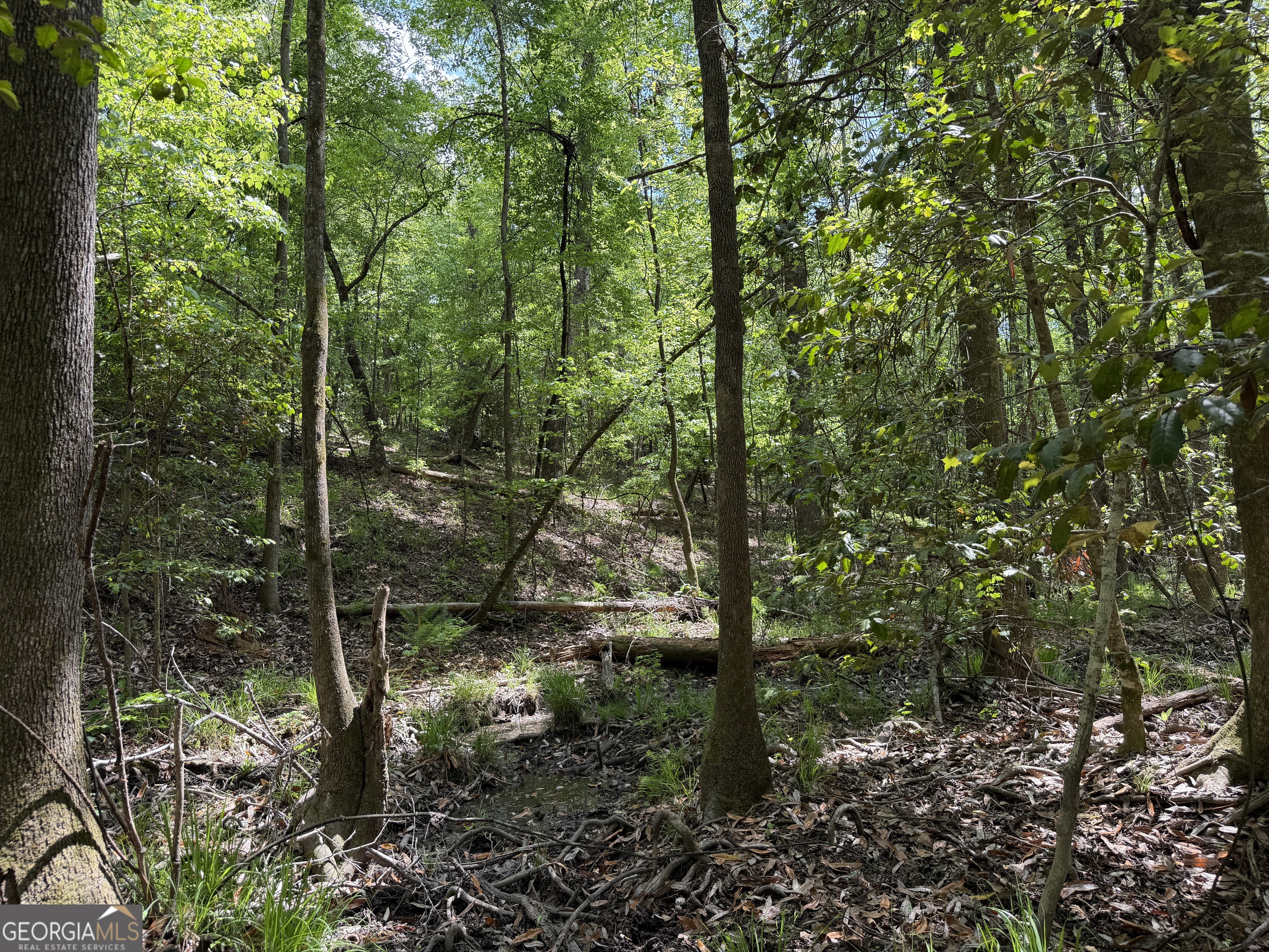 77 George Milling Road Cuthbert, GA 39840 - Photo 5 of 11