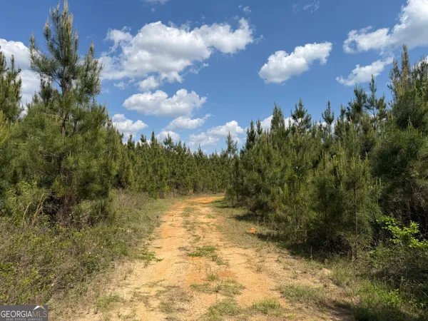 $111,903 | 77 George Milling Road, Cuthbert, GA 39840