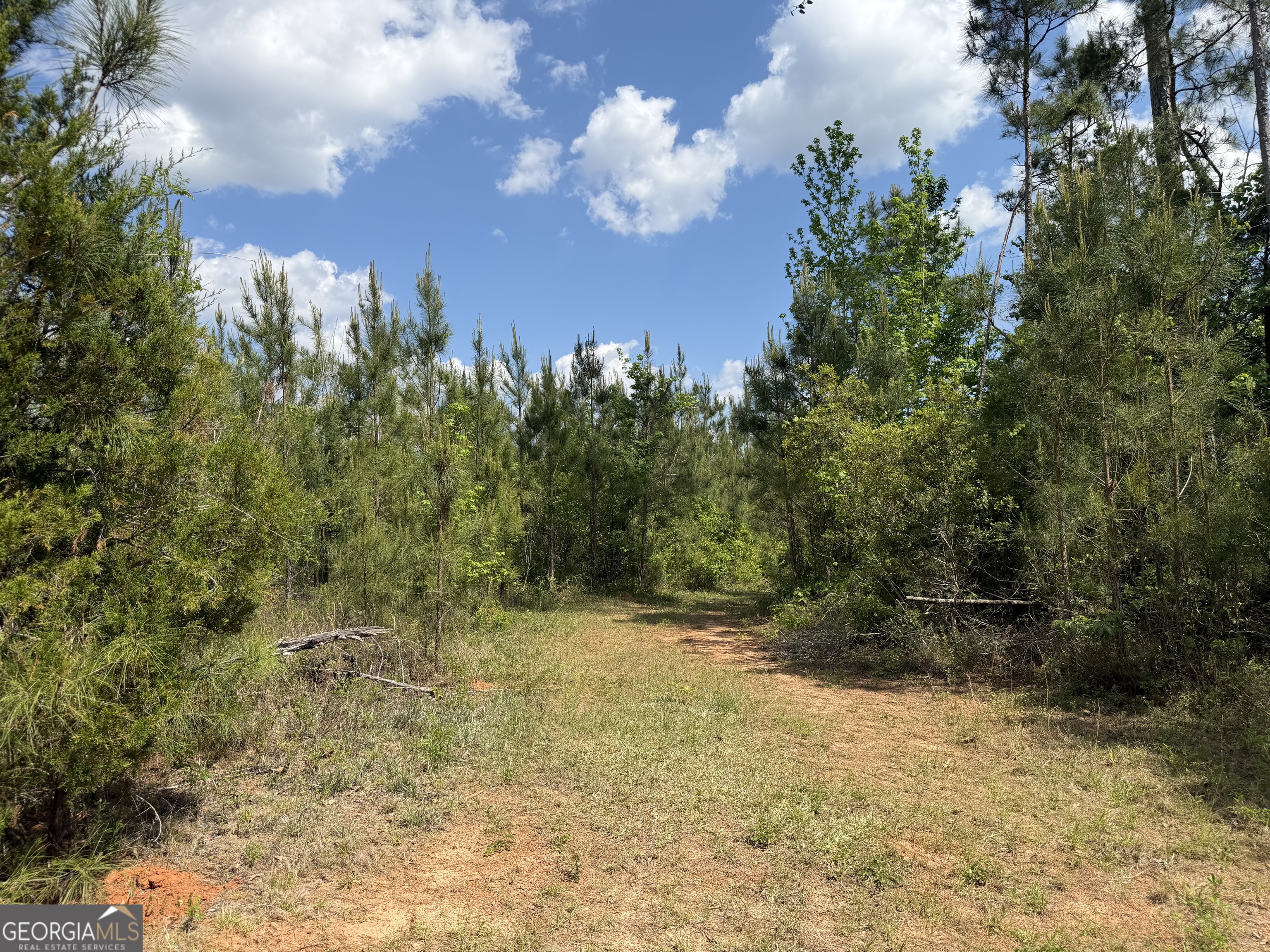 77 George Milling Road Cuthbert, GA 39840 - Photo 9 of 11