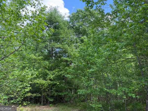 $111,903 | 77 George Milling Road, Cuthbert, GA 39840