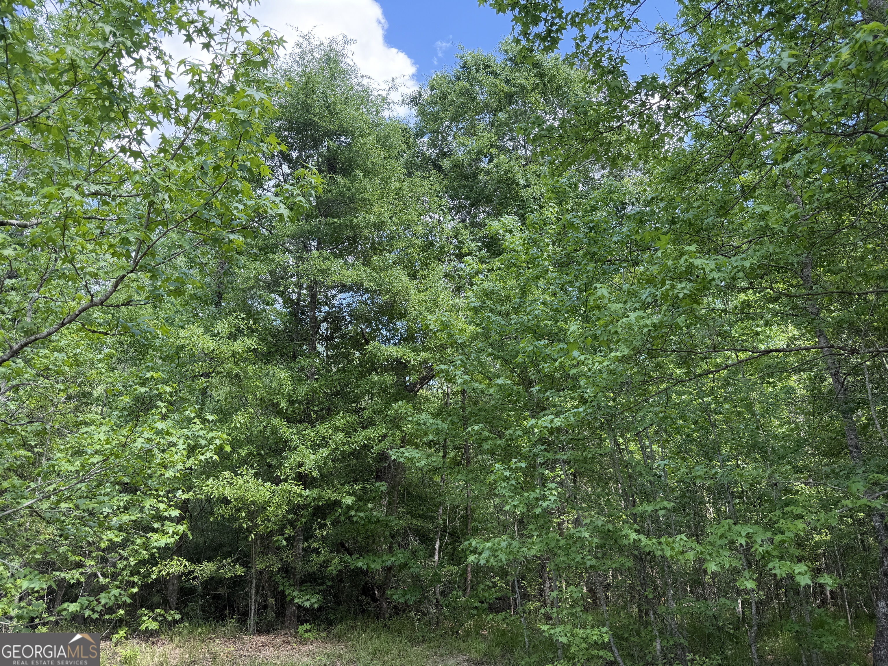 77 George Milling Road Cuthbert, GA 39840 - Photo 10 of 11