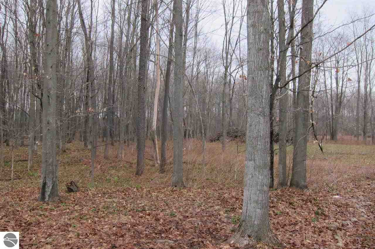 19830 Fewins Road Interlochen, MI 49643 - Photo 8 of 35 1783166-7.JPG