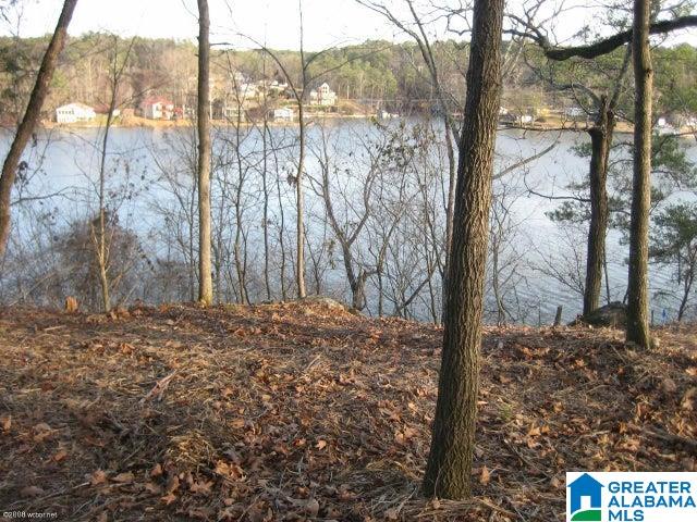 Taylors Ferry Road, Unit 7 Parrish, AL 35580 - Photo 2 of 3