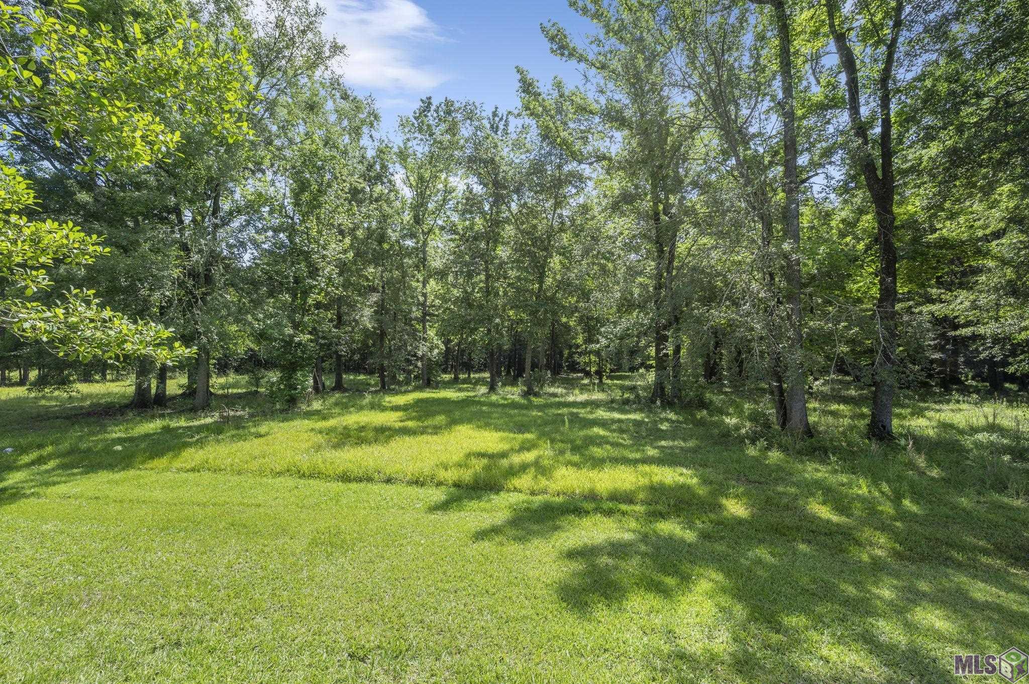 20422 MacHost Road Zachary, LA 70791 - Photo 8 of 28