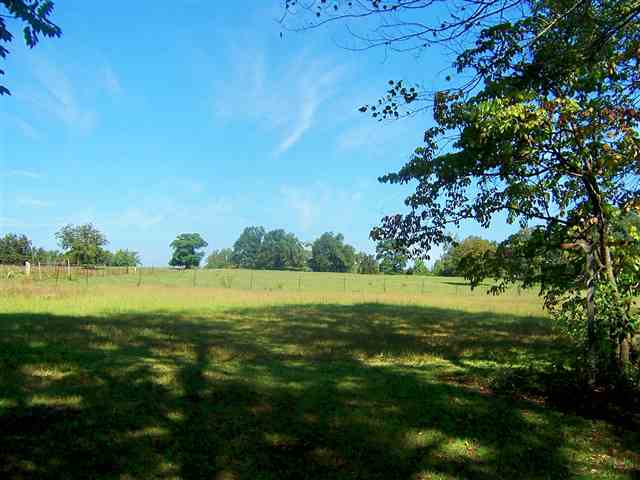 733 Saluda Dam Road Easley, SC 29640 - Photo 16 of 19 Gallery Image 16