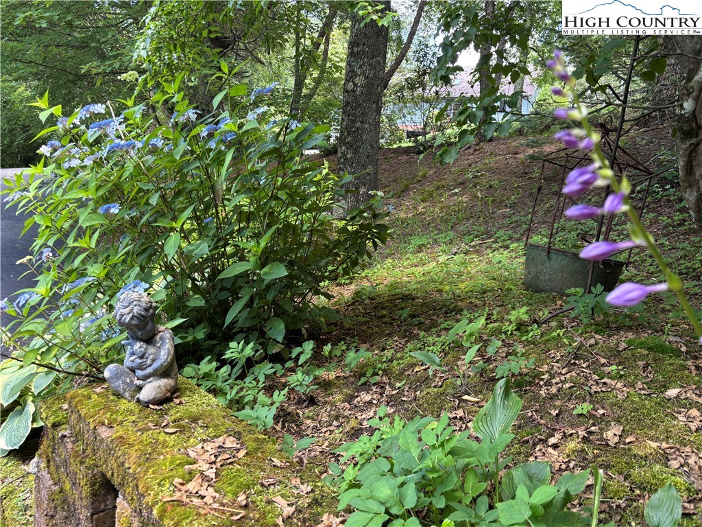 672 Kalmia Lane Boone, NC 28607 - Photo 30 of 36