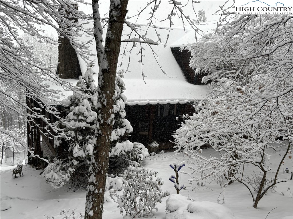 672 Kalmia Lane Boone, NC 28607 - Photo 3 of 36