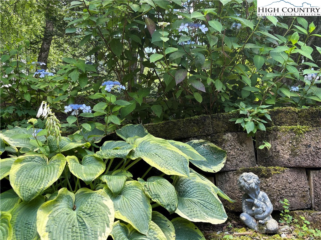 672 Kalmia Lane Boone, NC 28607 - Photo 33 of 36