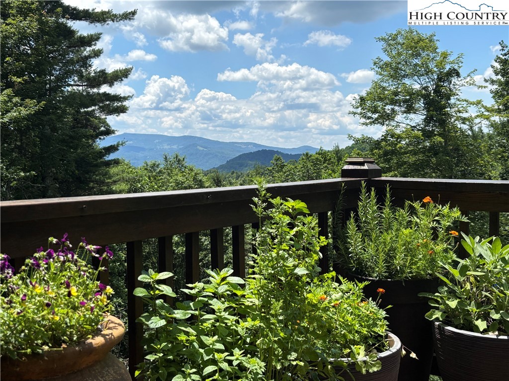 672 Kalmia Lane Boone, NC 28607 - Photo 5 of 36