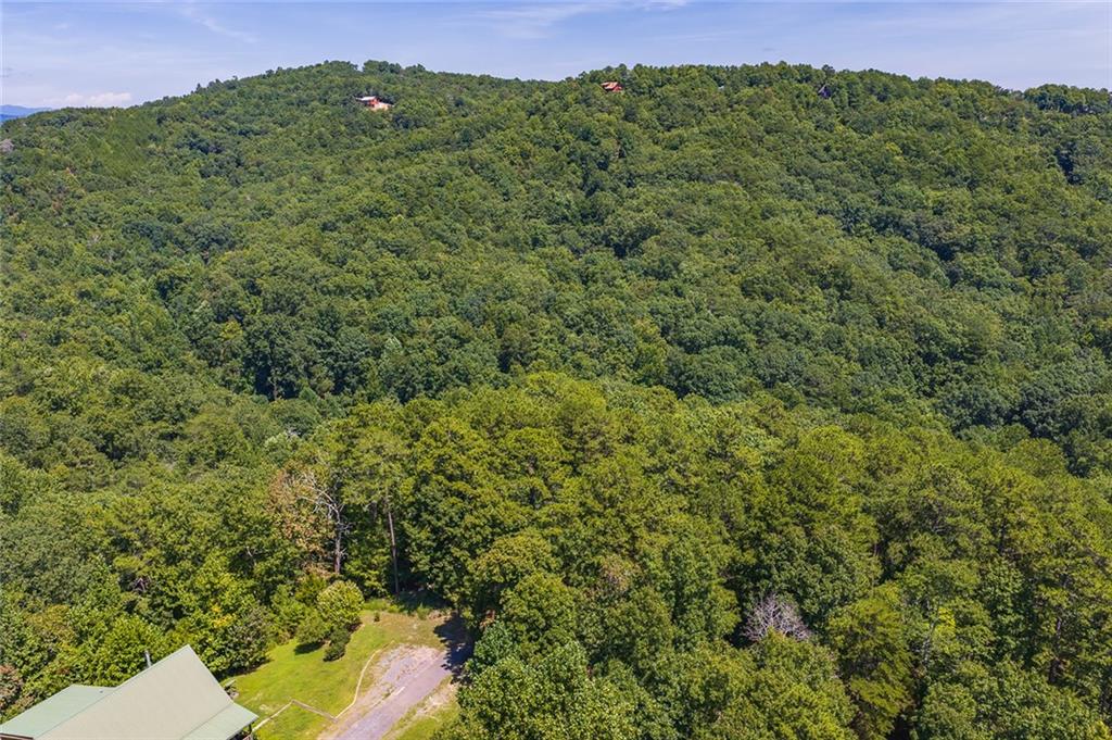 694-95 Railey Ridge Ranger, GA 30734 - Photo 4 of 17 Gallery Image 4