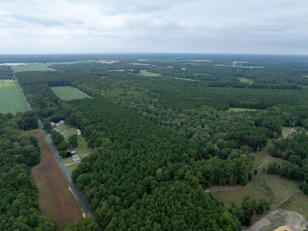 0 Whites Neck Road, Unit 140 Parksley, VA 23421 - Photo 8 of 10