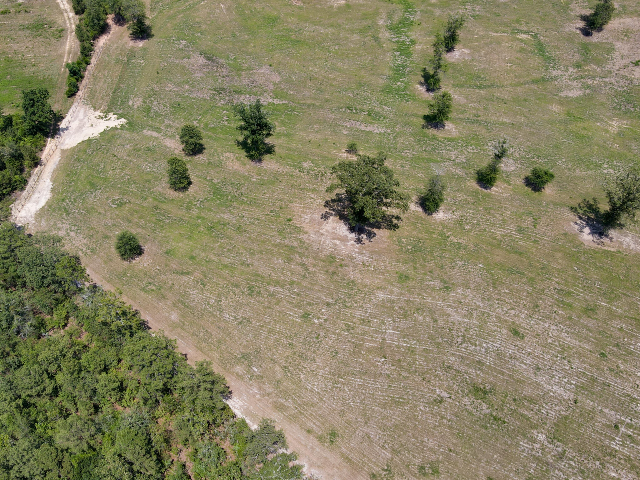 Tbd Shaws Fork Road Aiken, SC 29805 - Photo 17 of 18