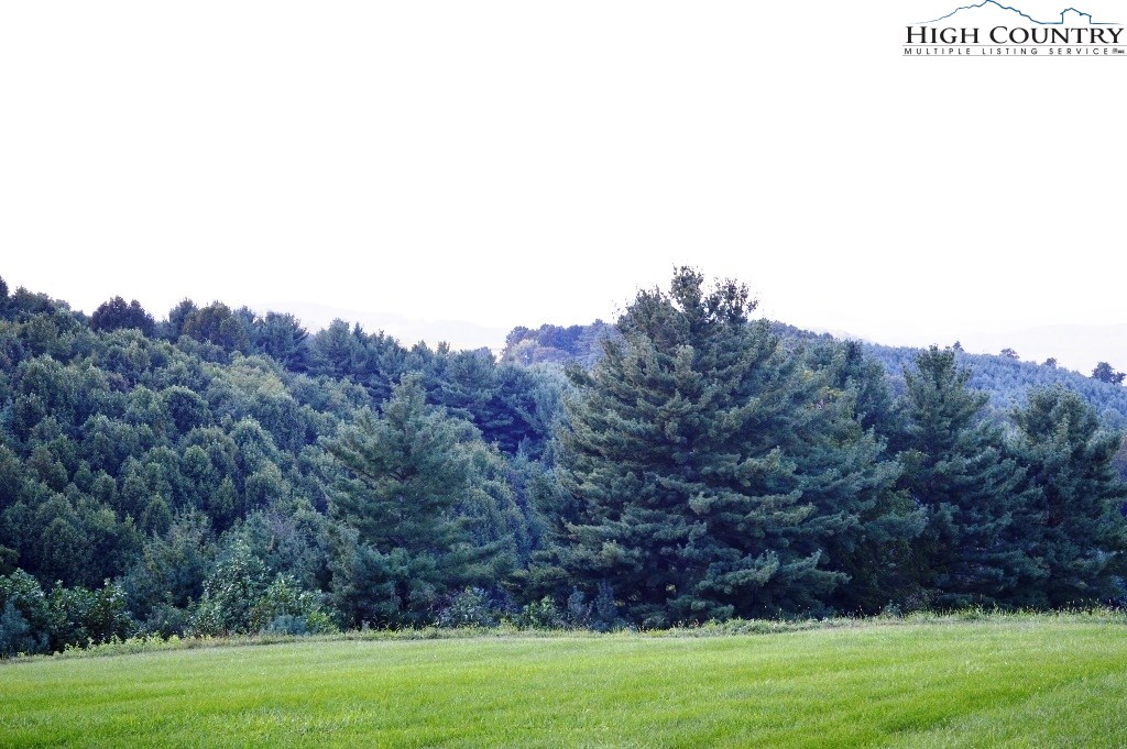 0 Crab Creek Road Ennice, NC 28623 - Photo 26 of 28