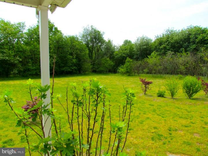 748 Rattling Run Road Mickleton, NJ 08056 - Photo 23 of 25