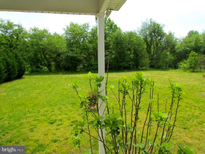 748 Rattling Run Road Mickleton, NJ 08056 - Photo 25 of 25