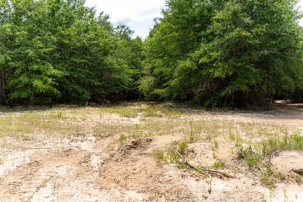 3 Comers Pond Road Pittsview, AL 36871 - Photo 18 of 51