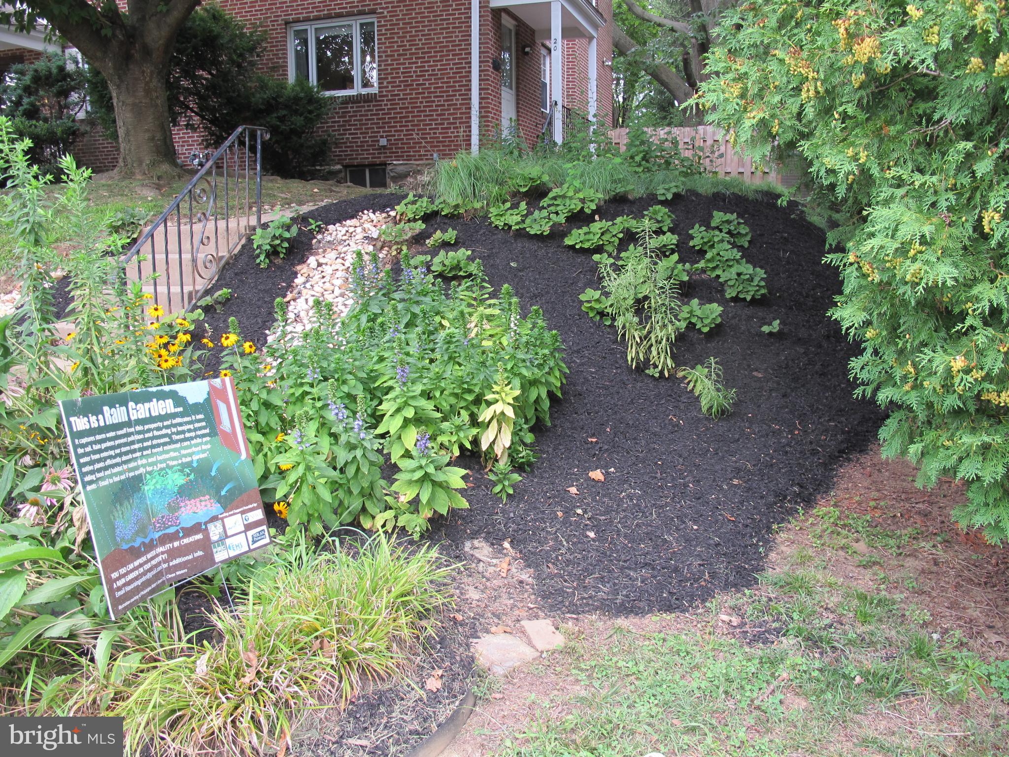 20 Steel Road Havertown, PA 19083 - Photo 5 of 43 Rain Garden