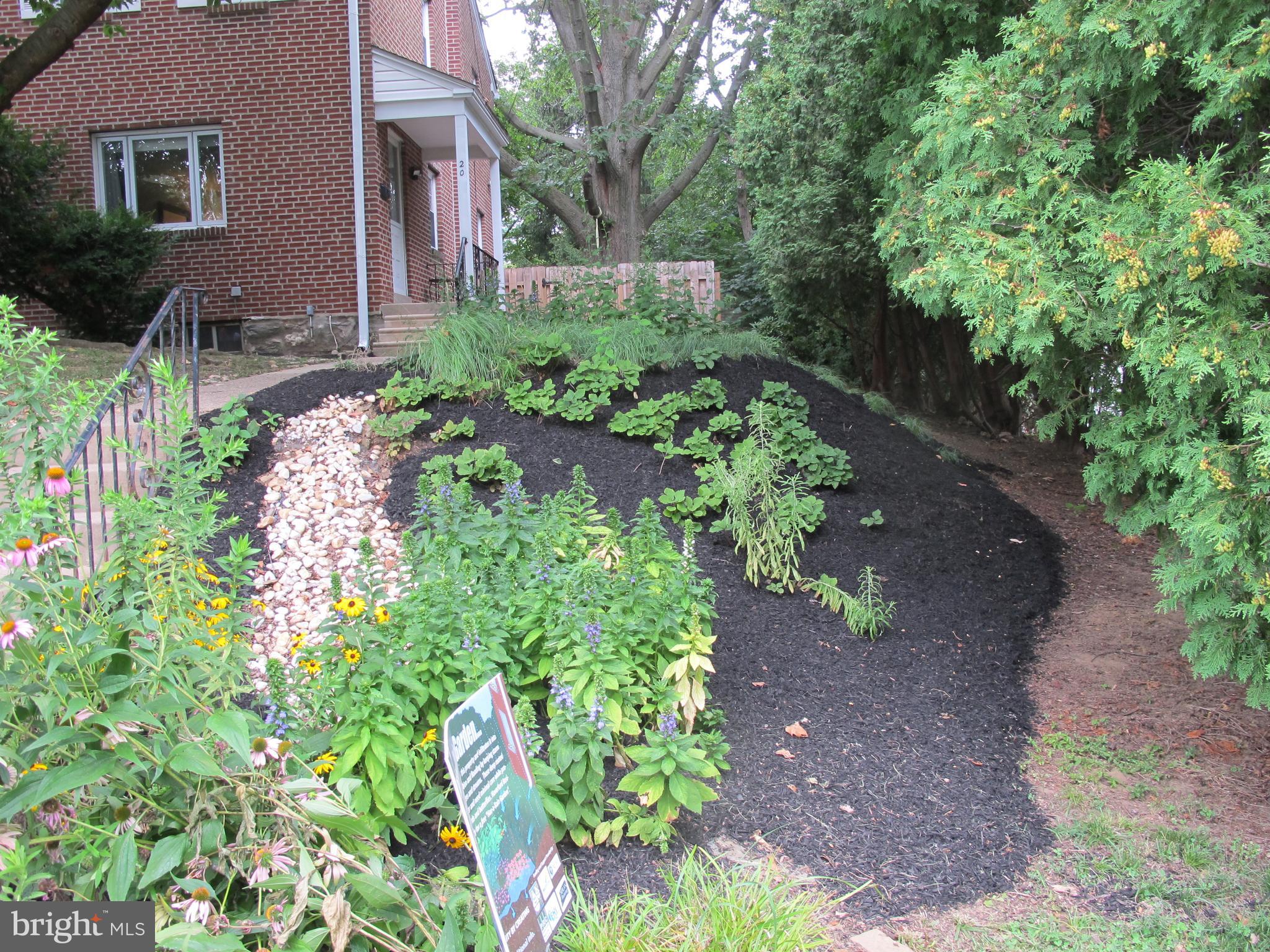 20 Steel Road Havertown, PA 19083 - Photo 6 of 43 Rain Garden