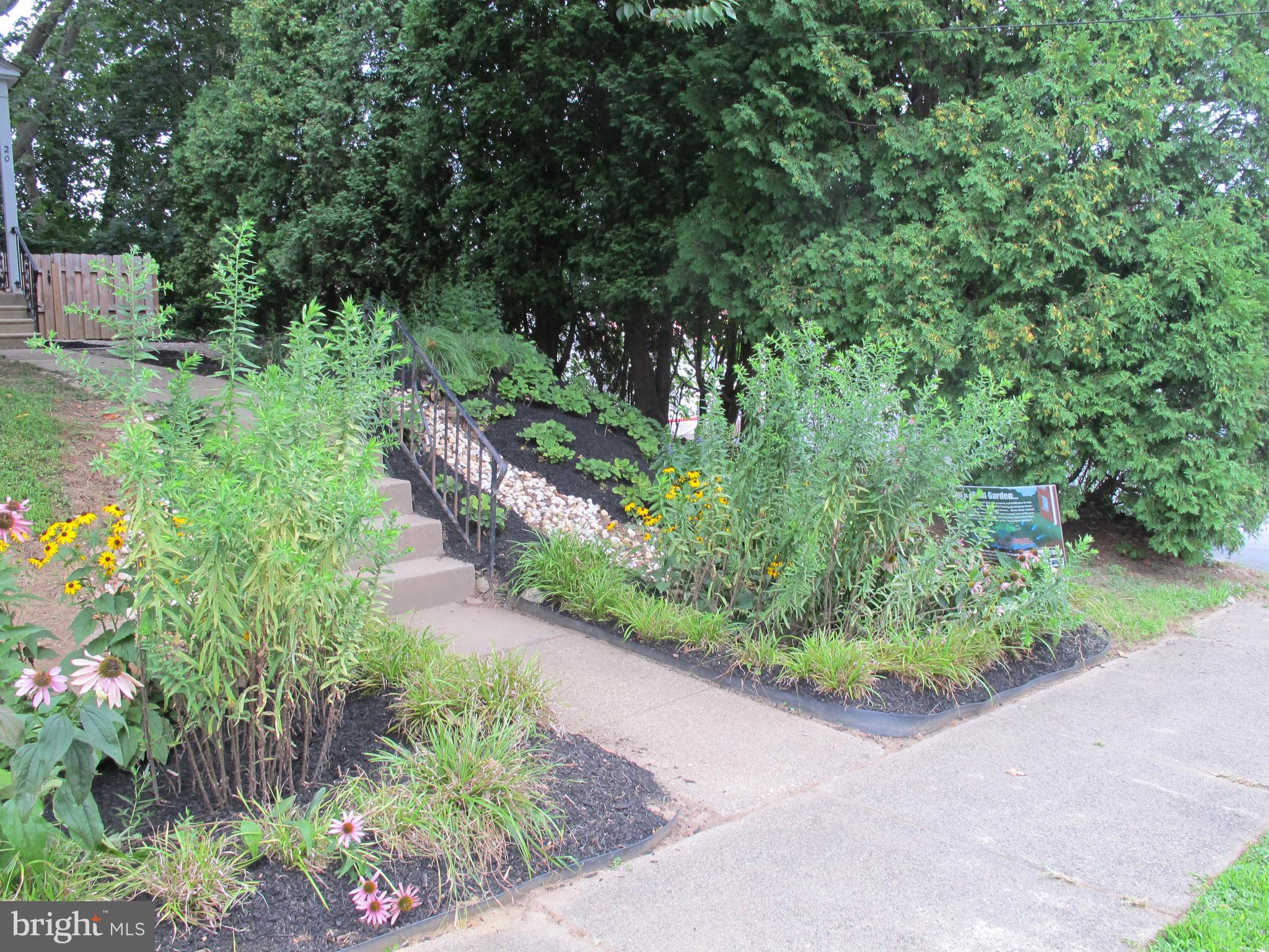 20 Steel Road Havertown, PA 19083 - Photo 7 of 43 Rain Garden