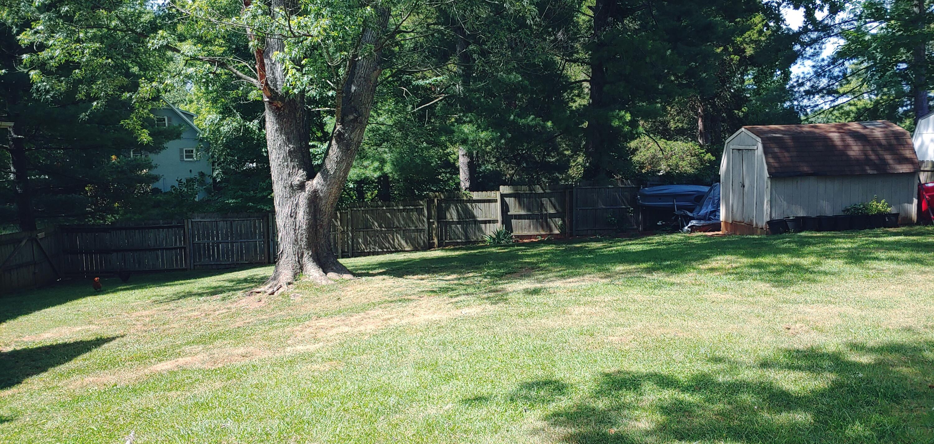 2304 Rambling Road Johnson City, TN 37604 - Photo 20 of 23 Yard