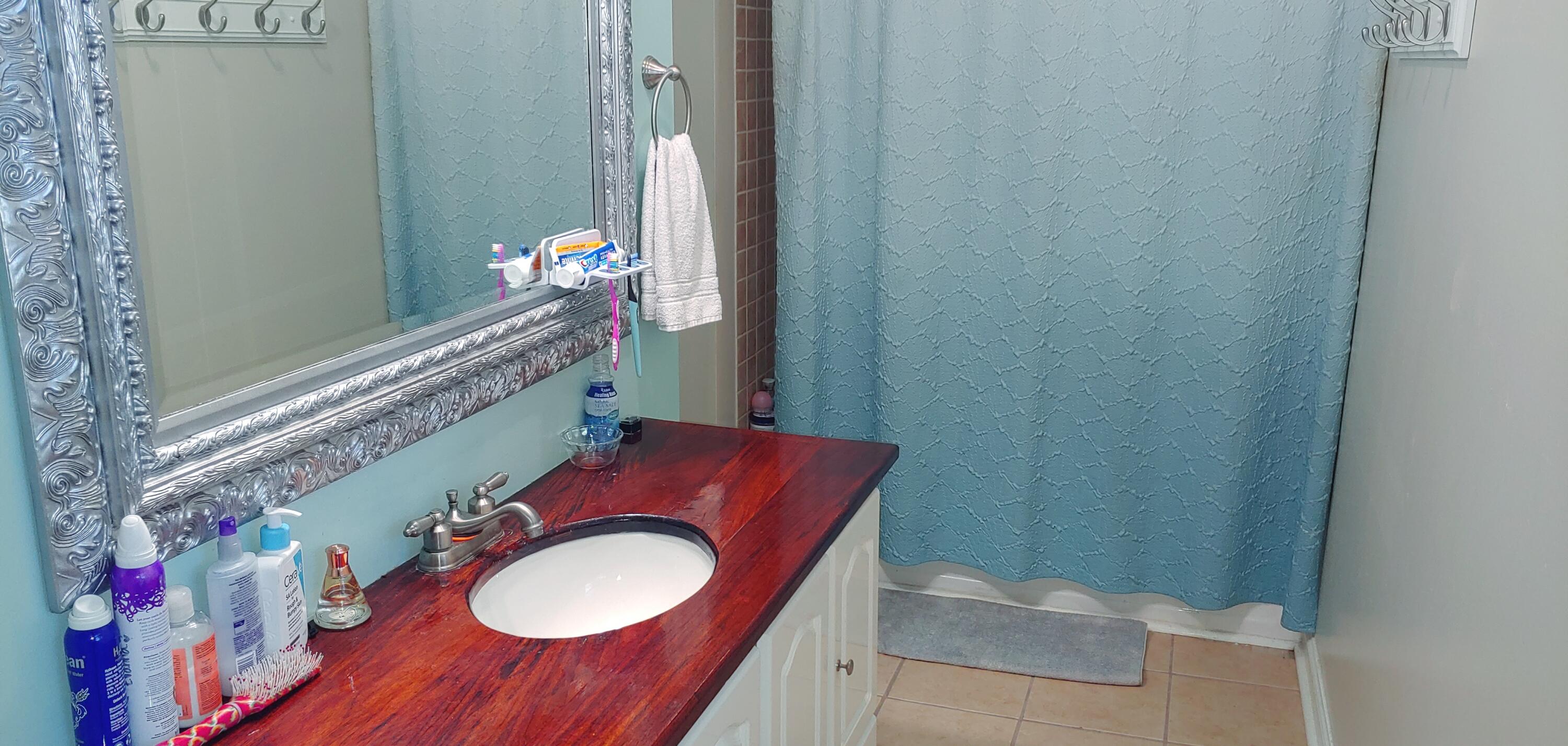 2304 Rambling Road Johnson City, TN 37604 - Photo 10 of 23 Bathroom