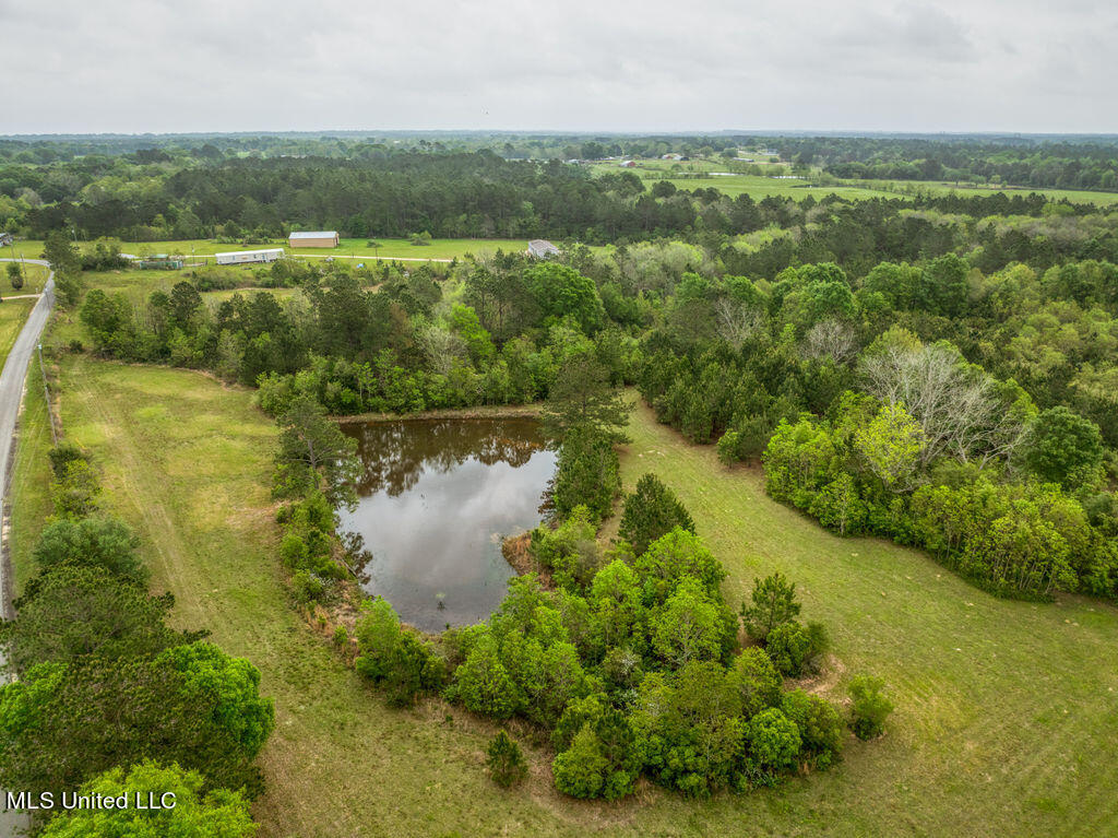 5321 Wendell Ladner Road Perkinston, MS 39573 - Photo 4 of 13 1000000390