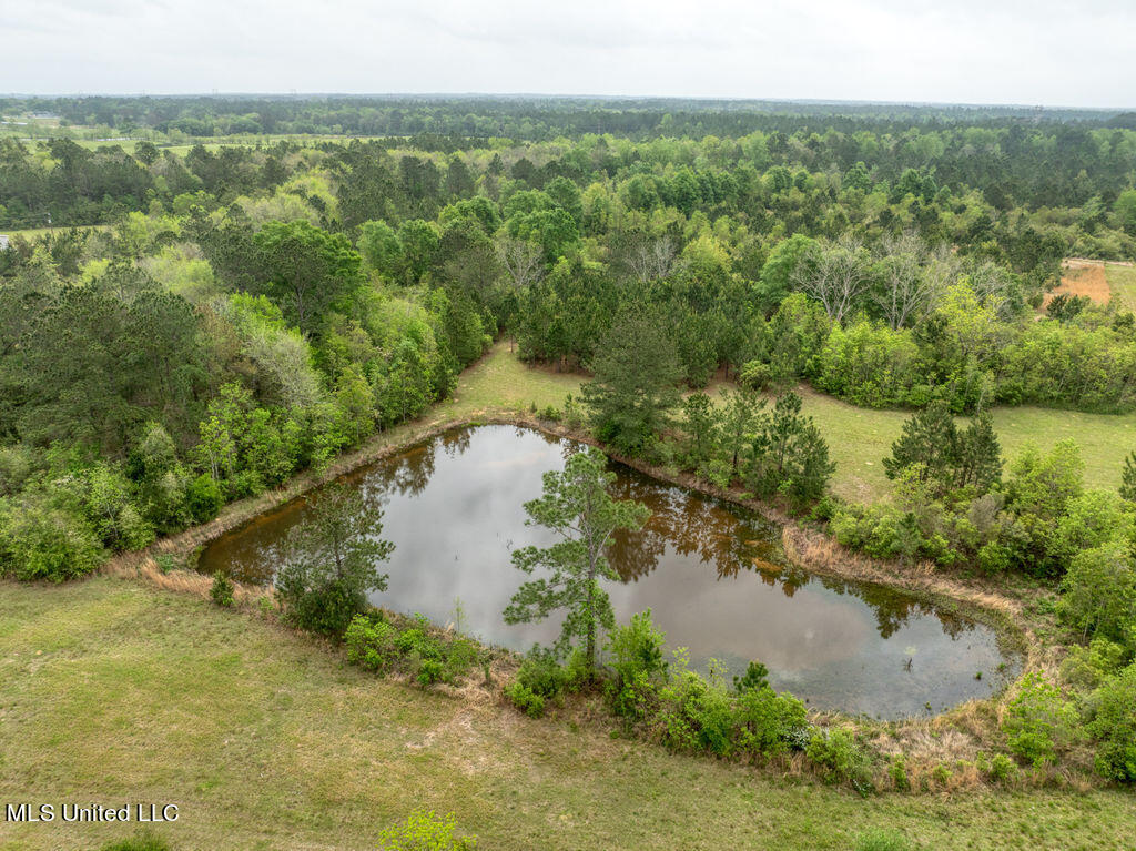 5321 Wendell Ladner Road Perkinston, MS 39573 - Photo 7 of 13 1000000391