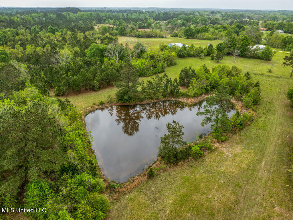 5321 Wendell Ladner Road Perkinston, MS 39573 - Photo 8 of 13 1000000385