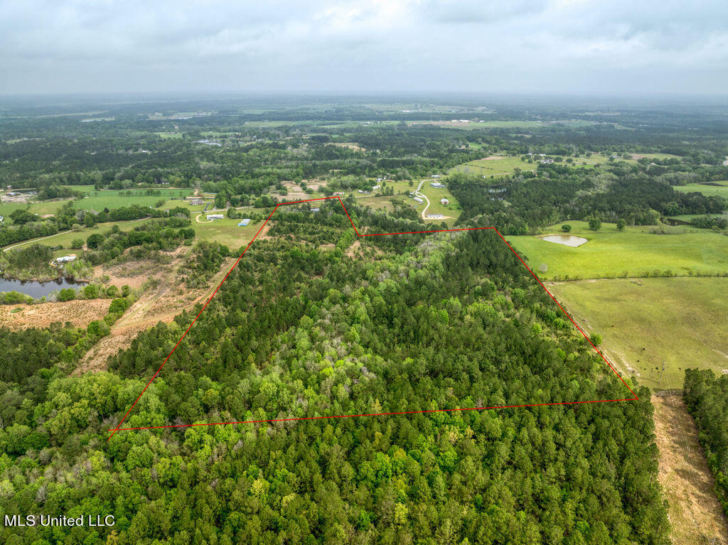 5321 Wendell Ladner Road Perkinston, MS 39573 - Photo 9 of 13 1000000388
