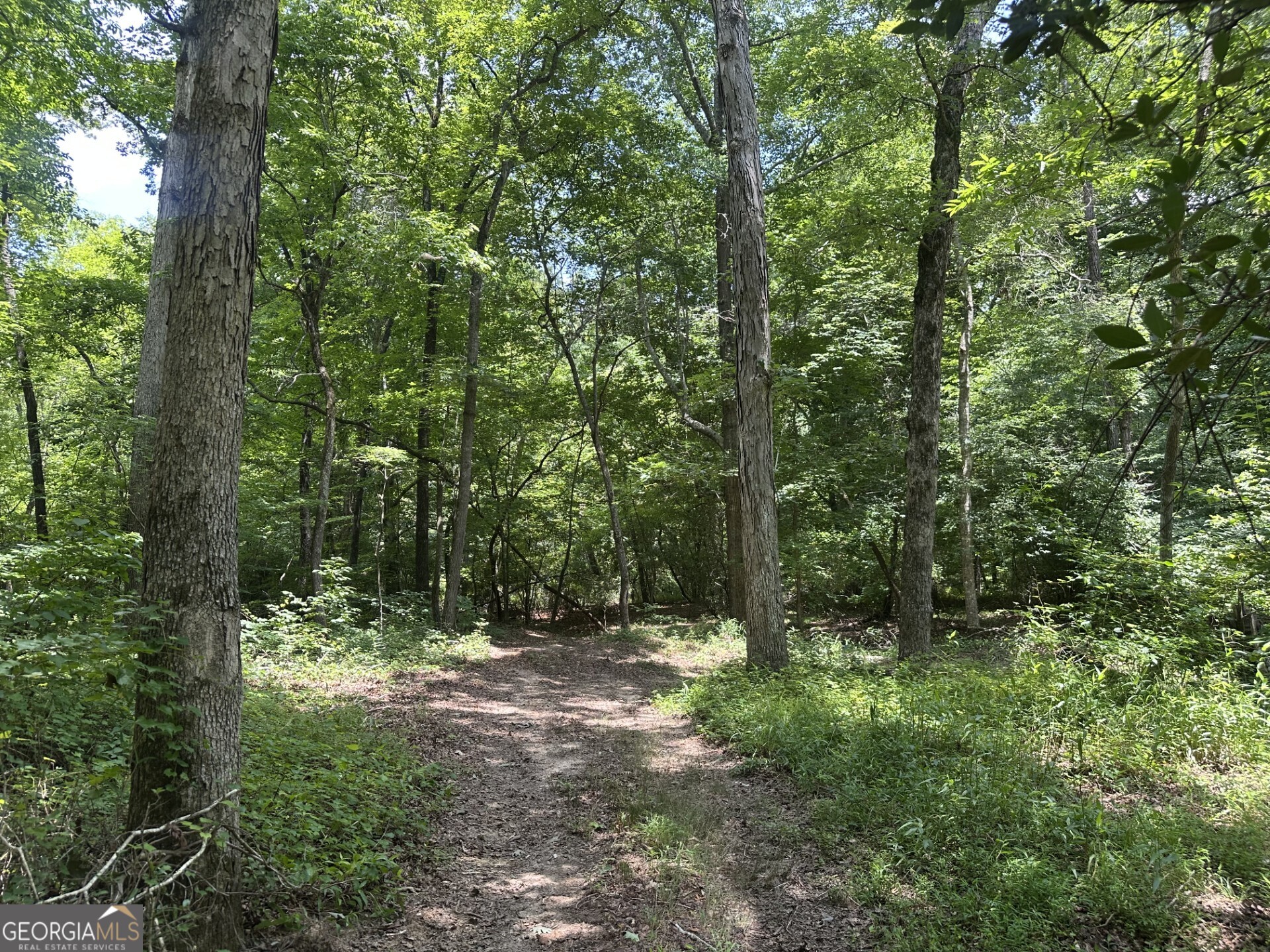360 Happy Hollow Road Comer, GA 30629 - Photo 7 of 31