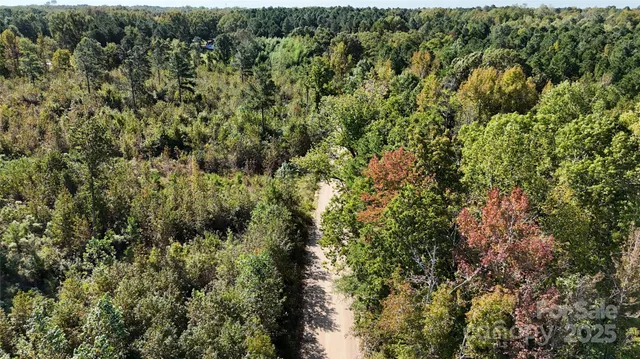 an aerial view of residential house with green space and trees all around