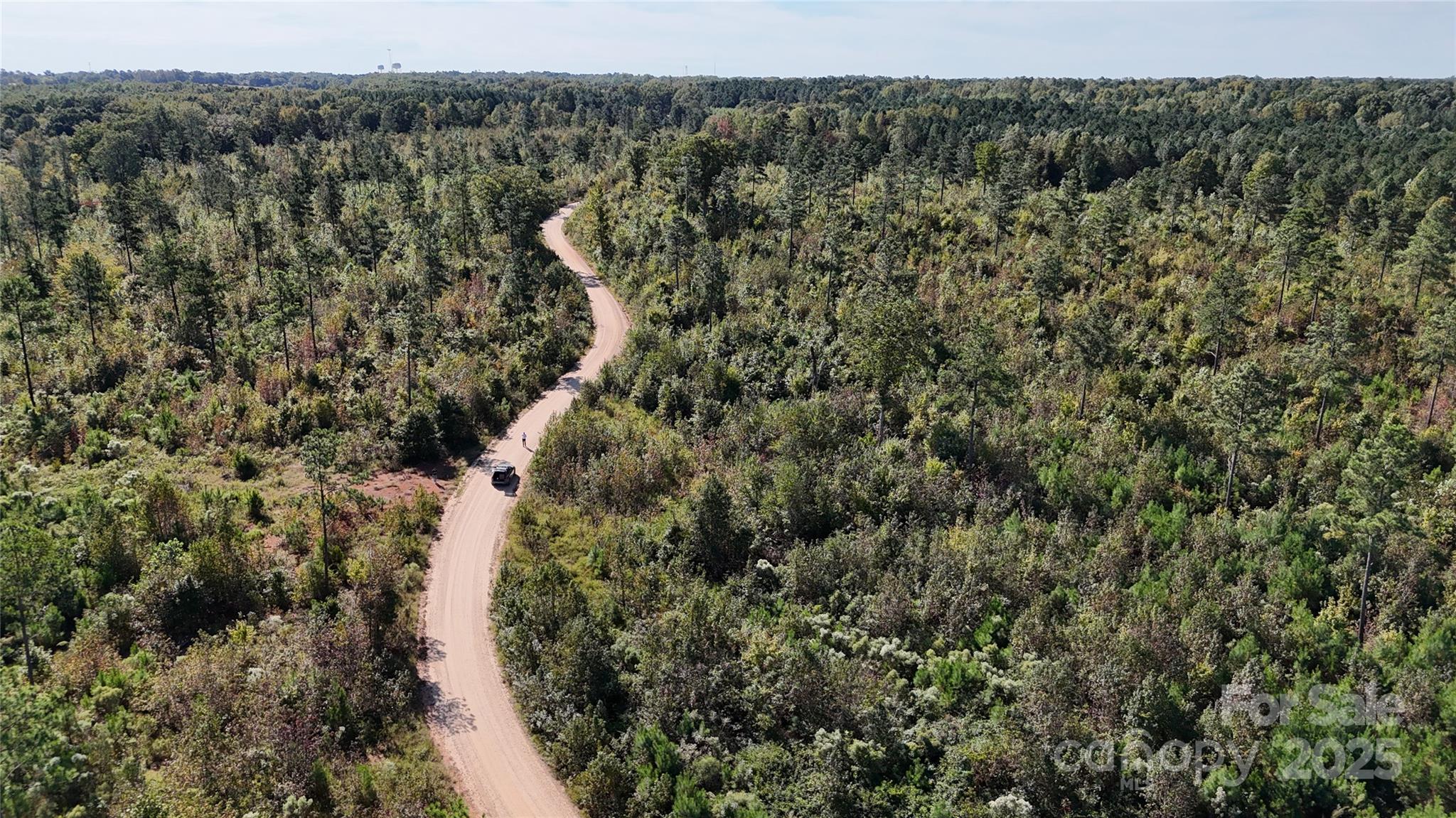 Lot 1 Farris Cato Road Pageland, SC 29728 - Photo 23 of 27 a view of a forest with a street