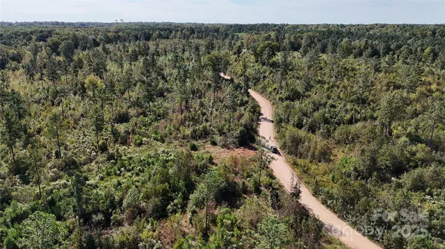 a view of a forest from balcony