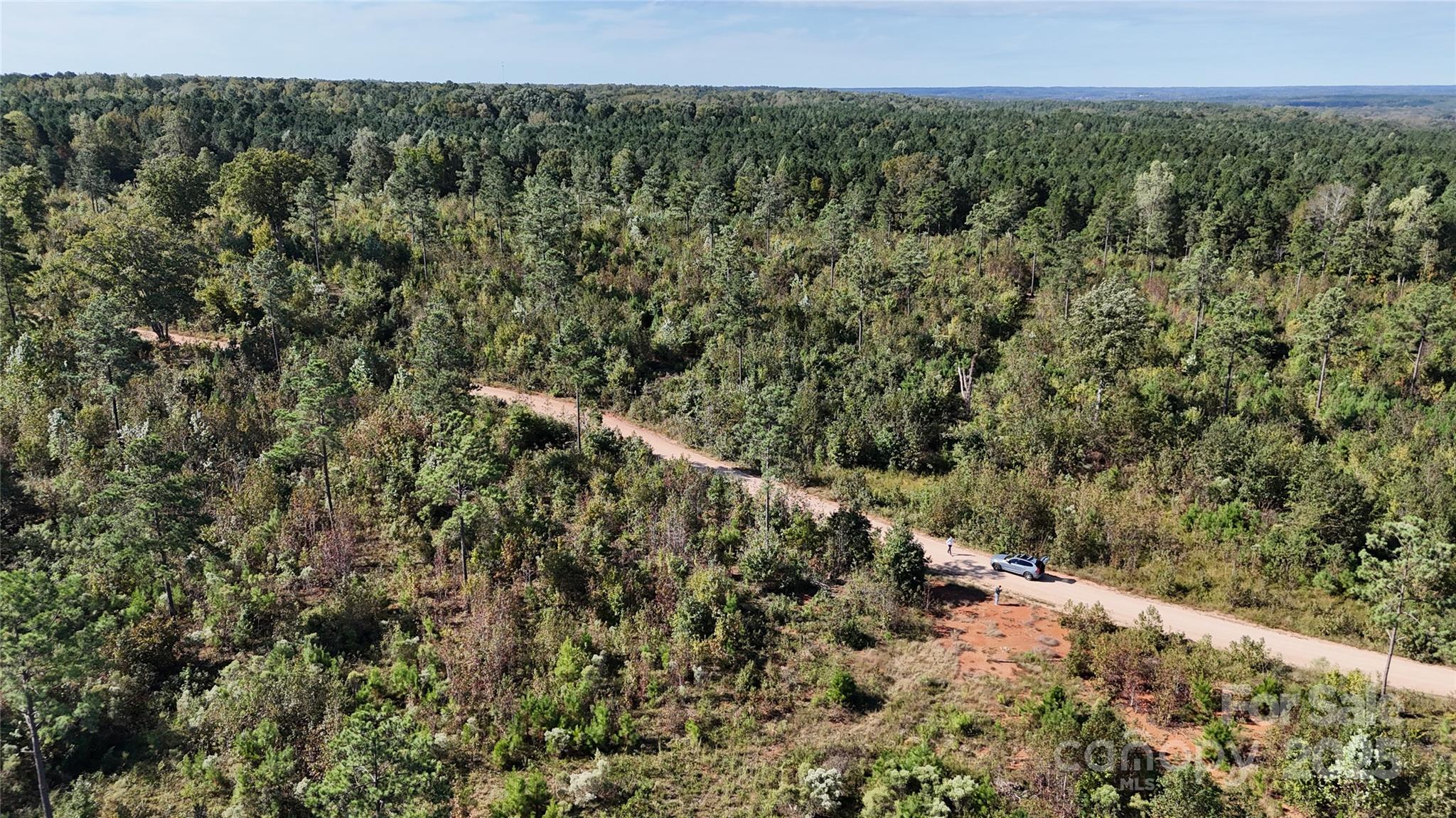 Lot 1 Farris Cato Road Pageland, SC 29728 - Photo 26 of 27 a view of a field with a tree in the background