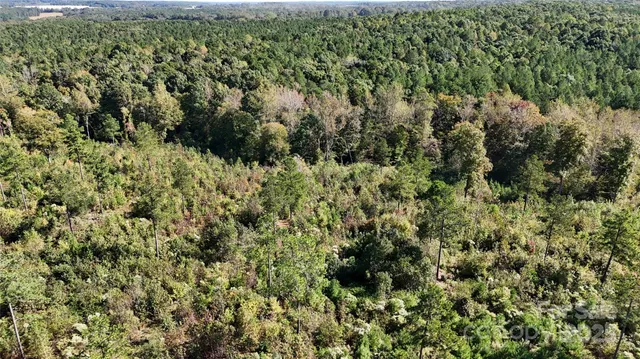 a view of a house with a lush green forest