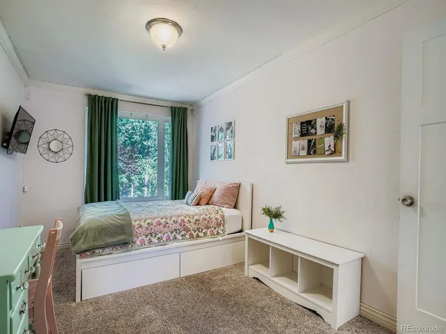 a living room with a bed furniture and a window
