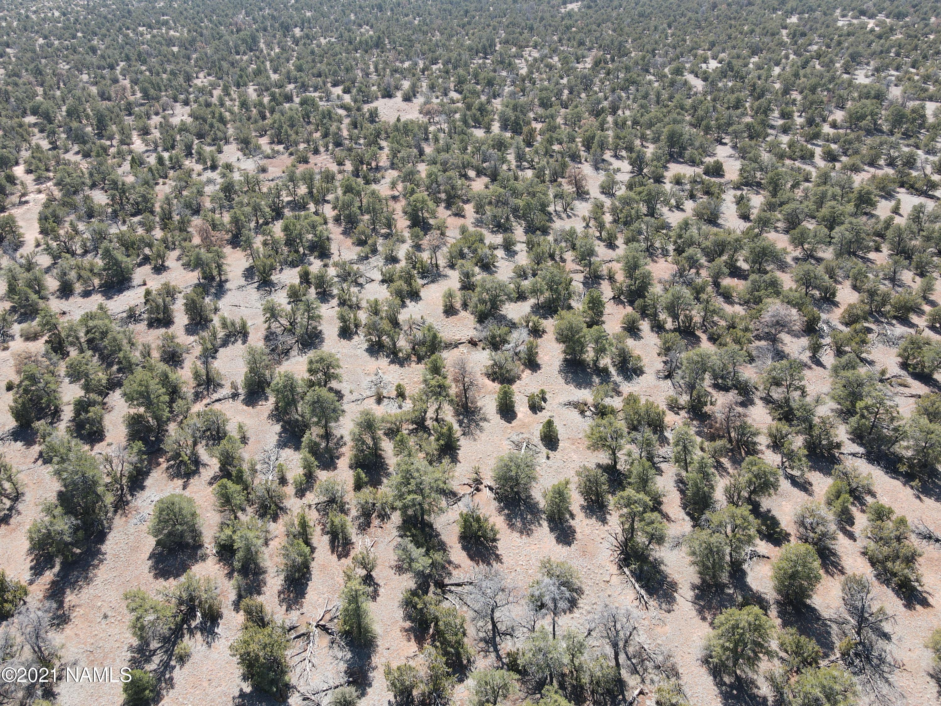 4392 North Bull Run Road, Unit 179 Williams, AZ 86046 - Photo 14 of 22 DJI_0568