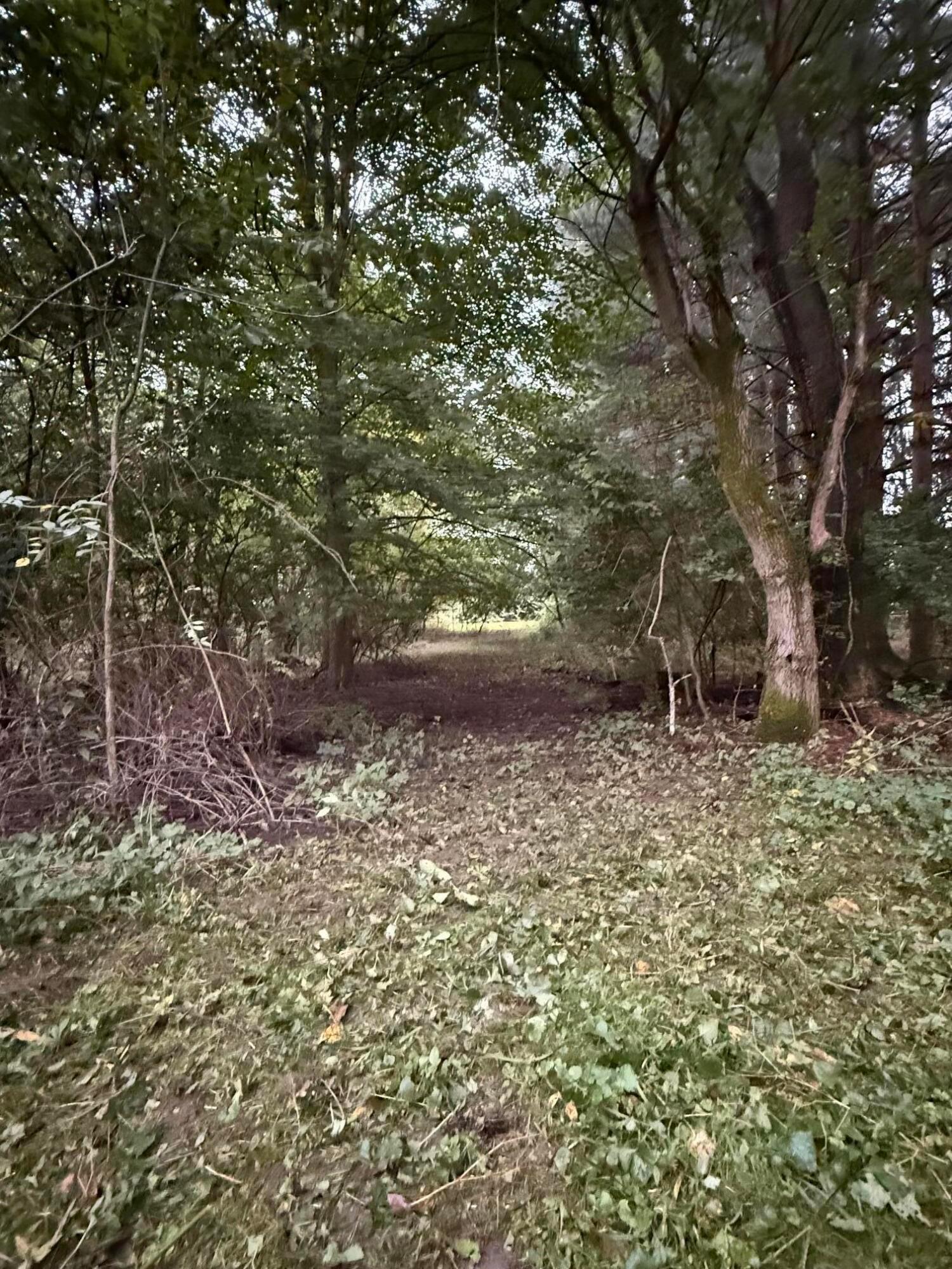 633 Willey Road Delaware, OH 43015 - Photo 49 of 51 51
