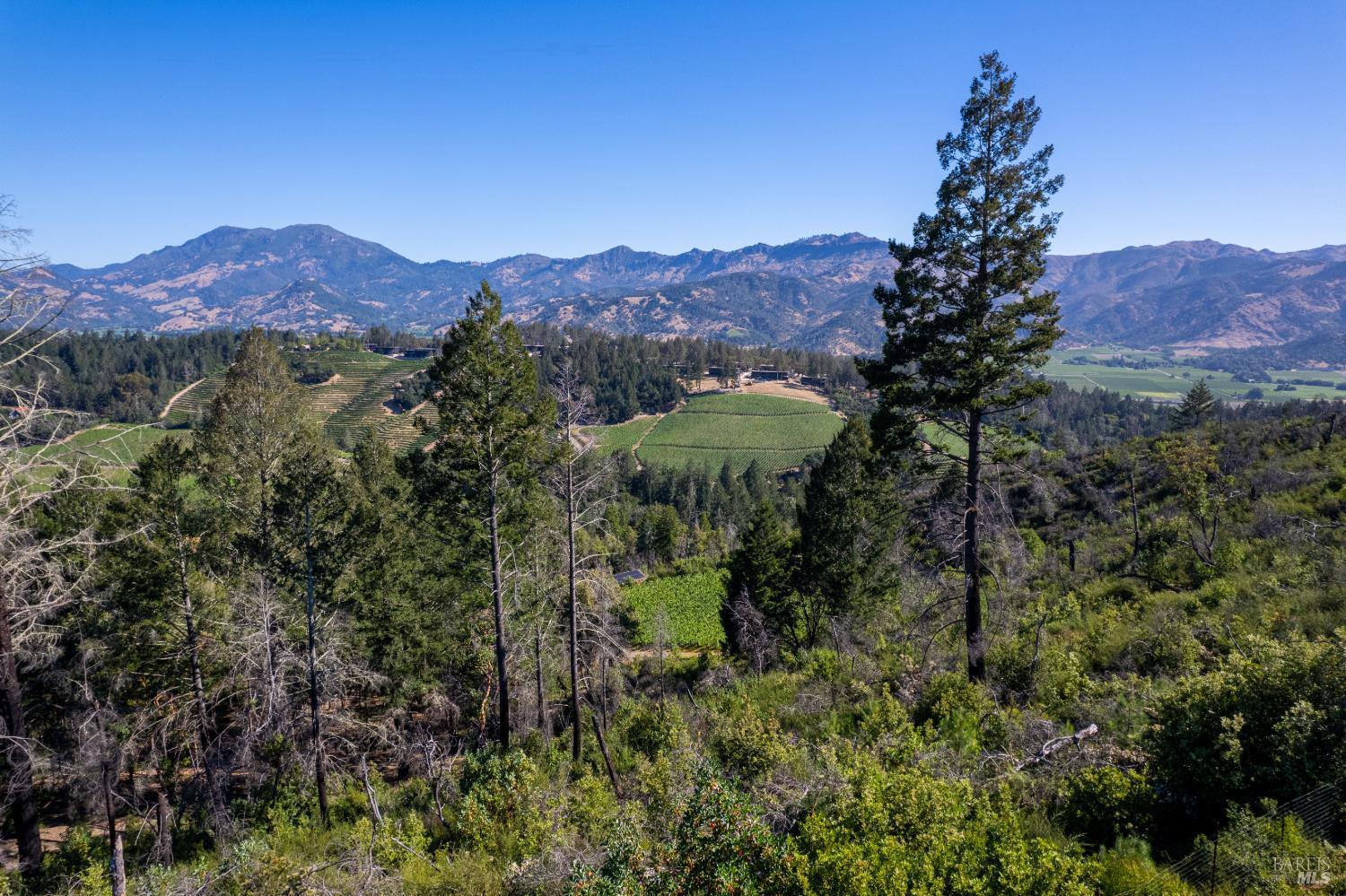 0 Diamond Mountain Road Calistoga, CA 94515 - Photo 14 of 19 View from upper vineyard looking out towards the new Rosewood Resort property on Diamond Mountain