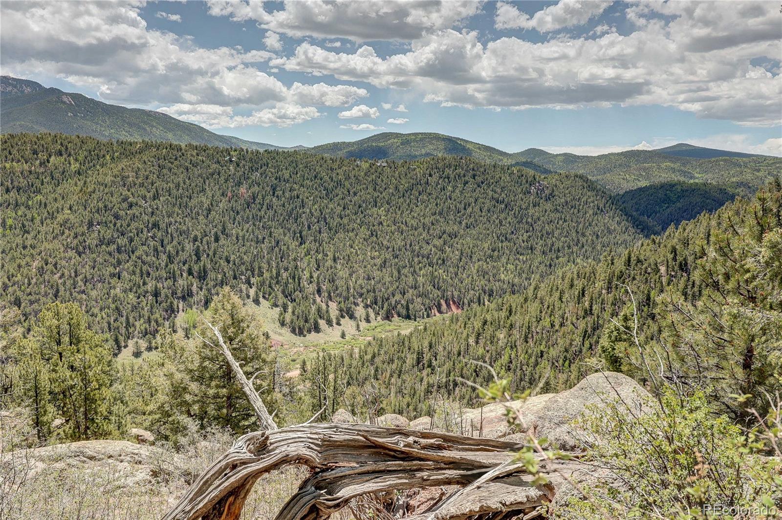 59 Robin Point Divide, CO 80814 - Photo 3 of 30 a view of a mountain