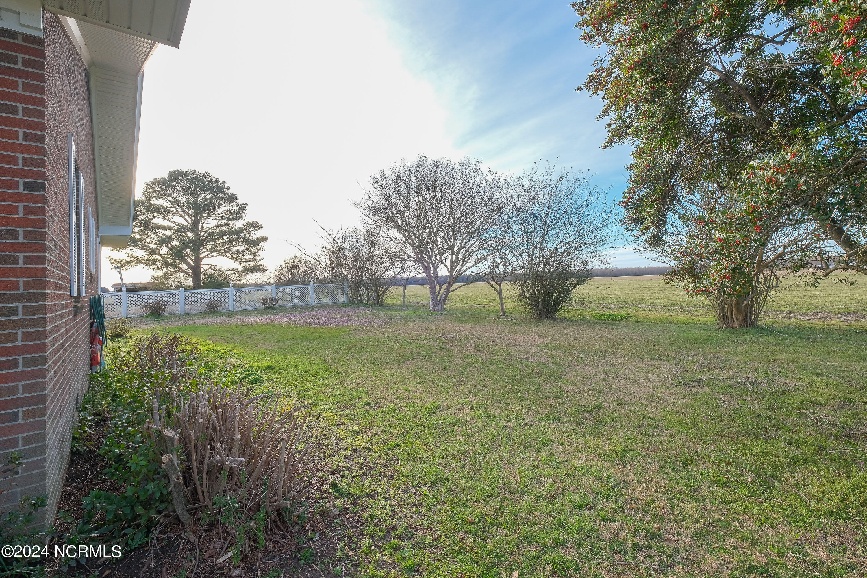 4219 Virginia Road Hobbsville, NC 27946 - Photo 26 of 32 25 - yard