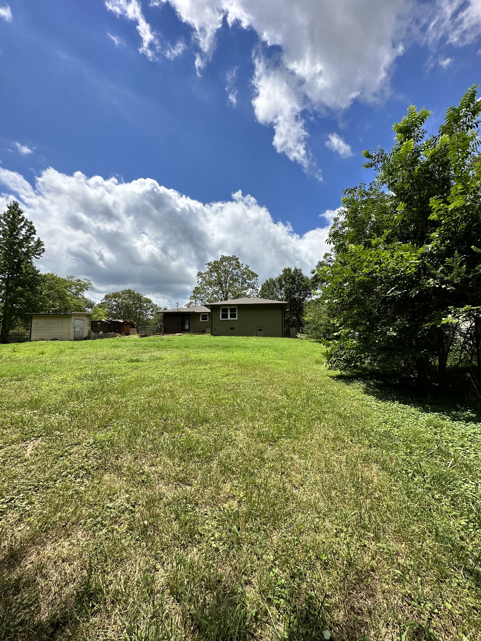 205 Excell Road Clarksville, TN 37043 - Photo 3 of 33 a view of a garden with an tree