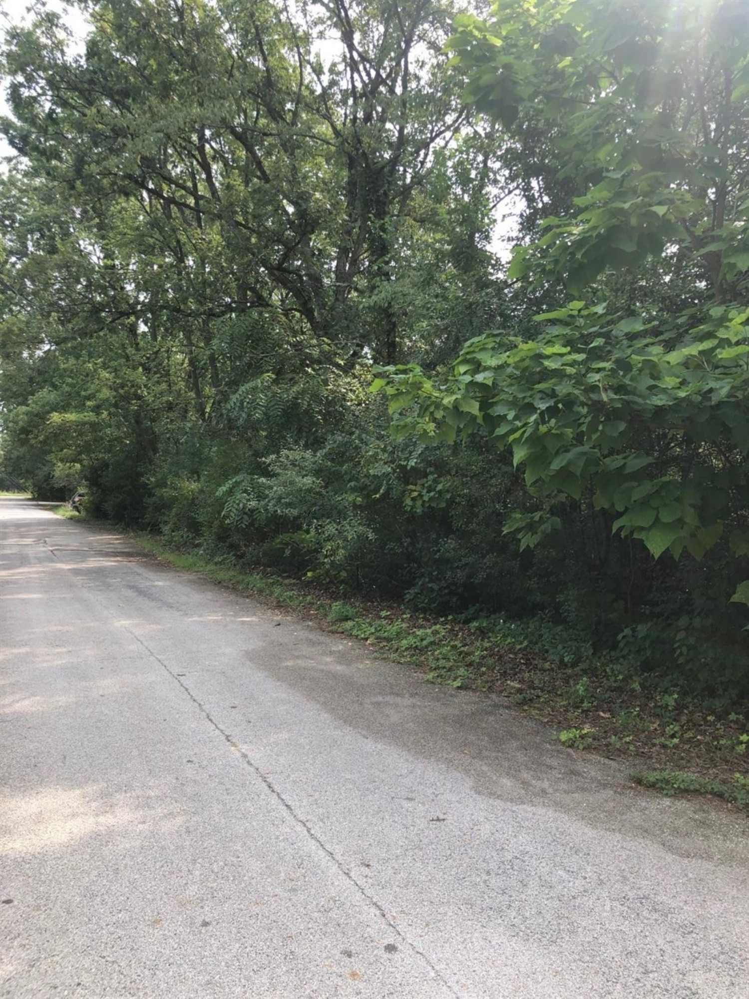 7-acres North 950 West Demotte, IN 46310 - Photo 2 of 4 a view of a yard with a tree