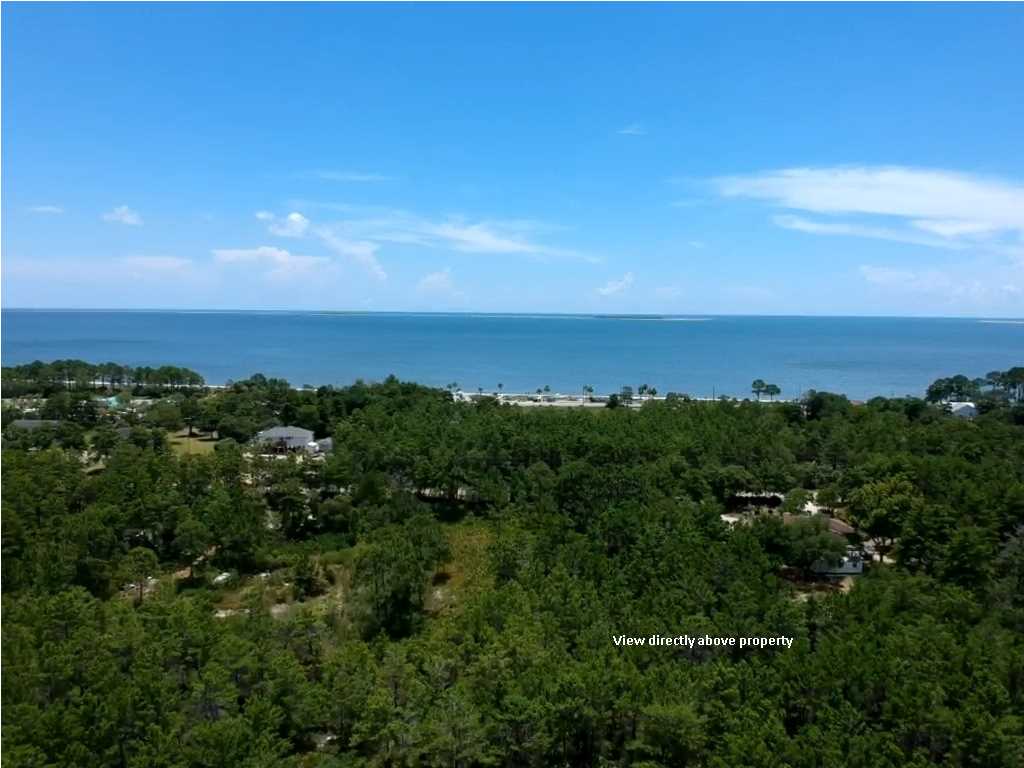 0 Beacon Street Carrabelle, FL 32322 - Photo 3 of 5