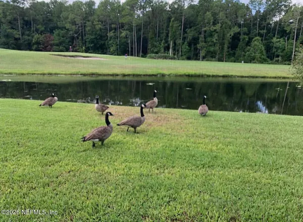 $3,950 | 925 Lotus Lane South, Jacksonville, FL 32259