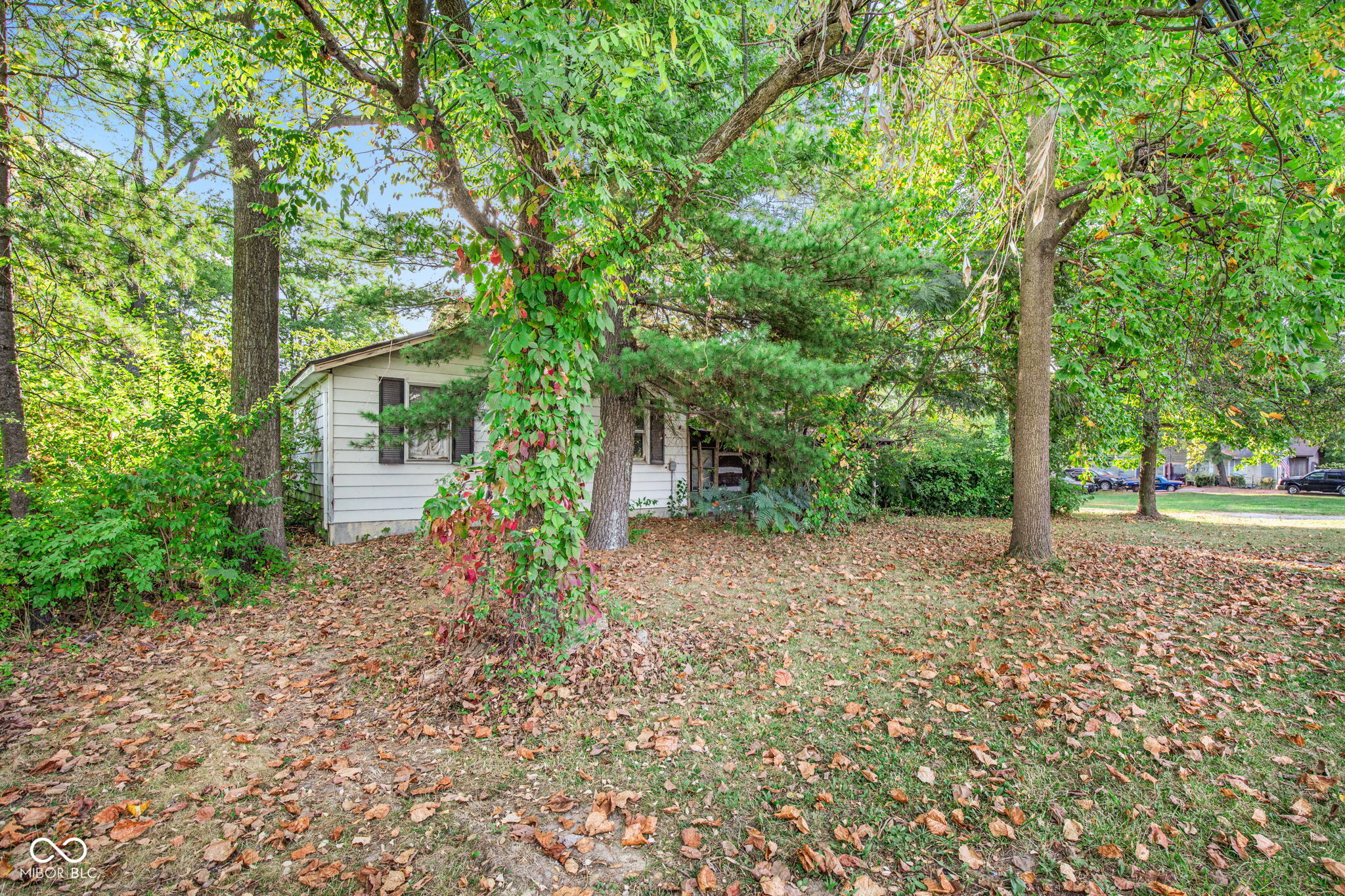 729 North County Road 900 East Avon, IN 46123 - Photo 3 of 28