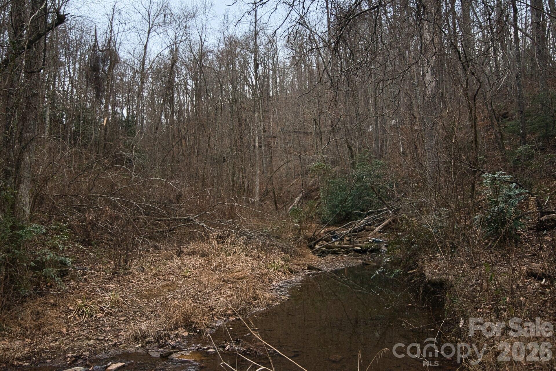 5712 Holbert Cove Road Saluda, NC 28773 - Photo 11 of 17 a view of a dry yard