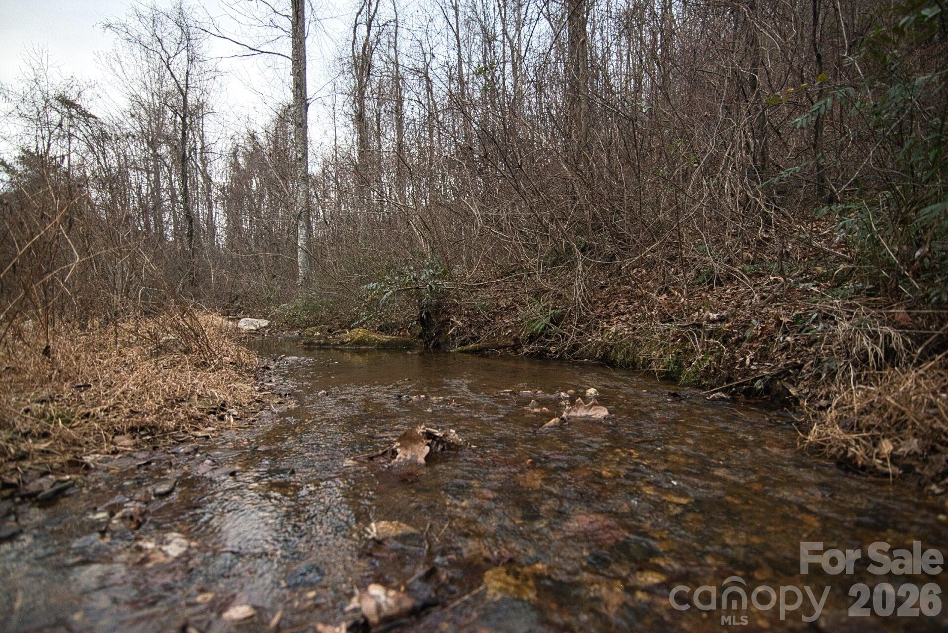 5712 Holbert Cove Road Saluda, NC 28773 - Photo 12 of 17 a view of a yard with a tree