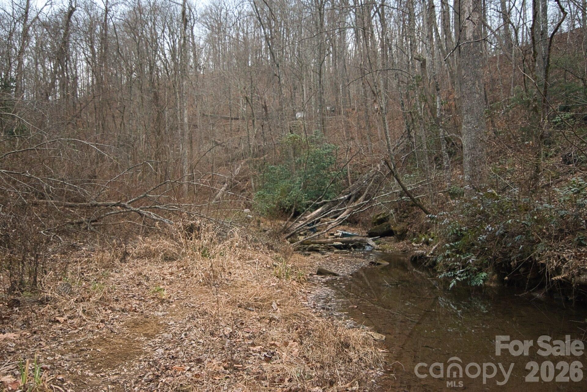 5712 Holbert Cove Road Saluda, NC 28773 - Photo 13 of 17 a view of a lake view