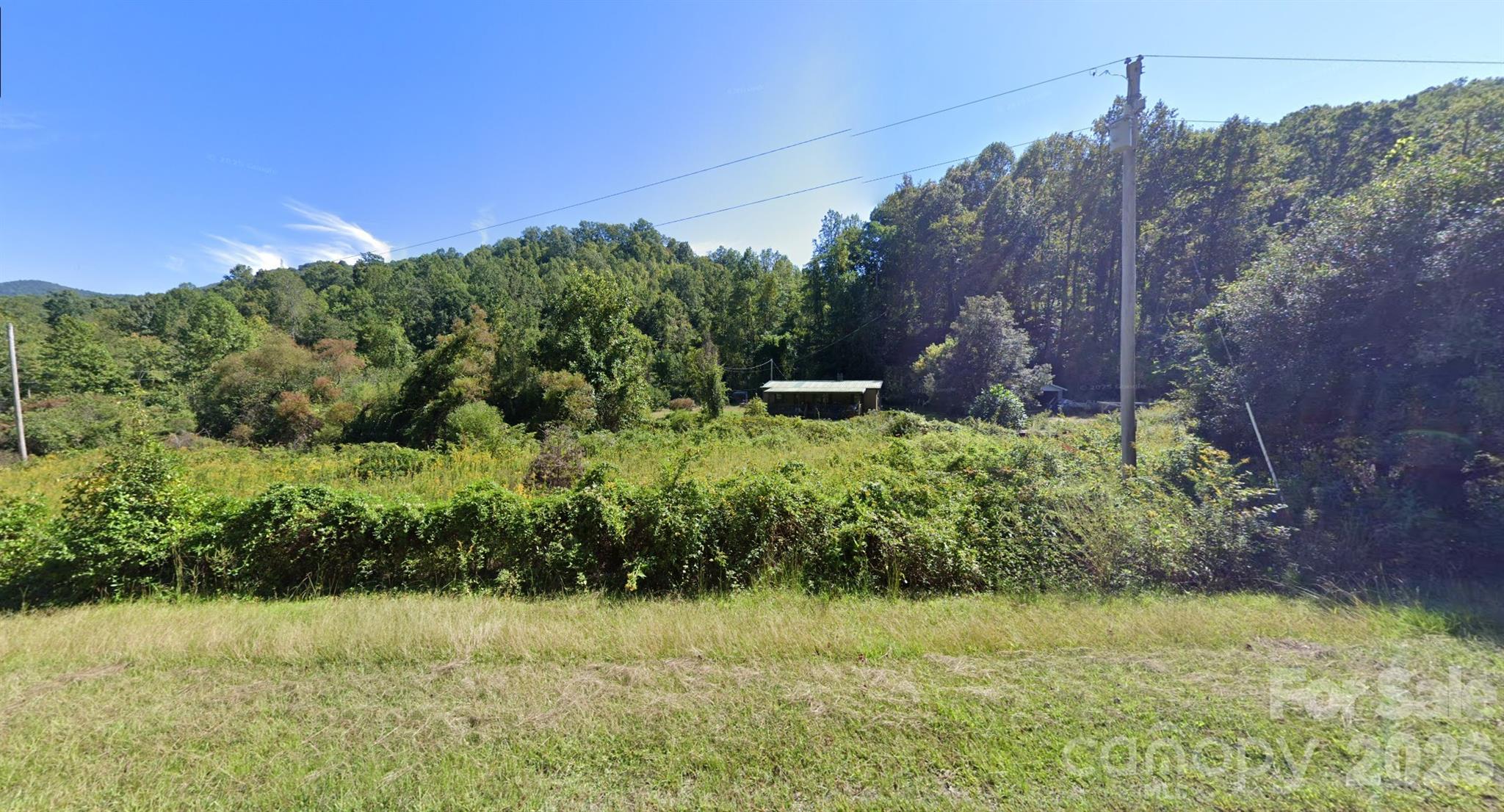 5712 Holbert Cove Road Saluda, NC 28773 - Photo 15 of 17 a view of a garden with a building in the background